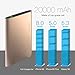 Vinsic 20000mAh Power Bank, Dual USB Portable External Battery Charger for Smartphones and Tablet PC, Golden