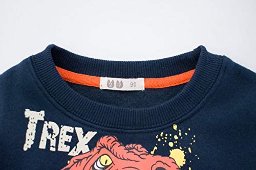 DDSOL Little Boys Cotton Cute Crew Neck Long Sleeve Sweatshirt (2T-11T)