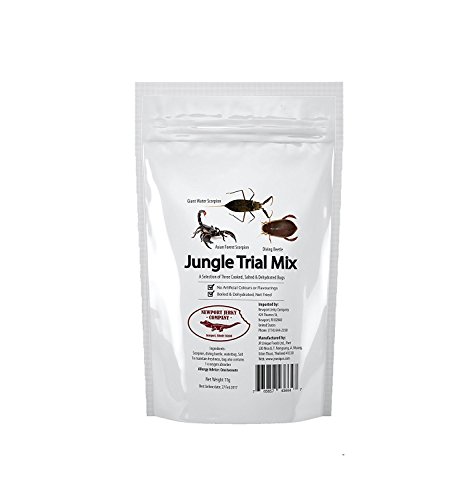 Edible Insects Jungle Trail Mix 5 pack Edible Forest