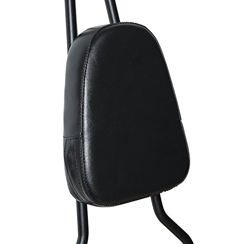 Senkauto Motorcycle Passenger Backrest Sissy Bar Seat Pillion Pad for Harley Sportster XL 883 1200 2004-2019