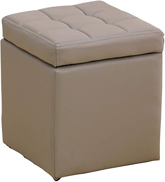 Softneco Otomana Almacenamiento con Miembro con bisagras, Cuero