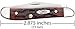 Case Chestnut Bone CV Peanut Pocket Knife