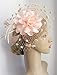 Fascinators Hats for Womens 50s Headwear with Veil Flower Cocktail Wedding Tea Party Church Derby Hat(1A-Peach)