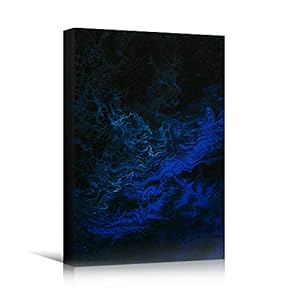 signwin Canvas Wall Art Liquid Abstract Abstract Colorful...