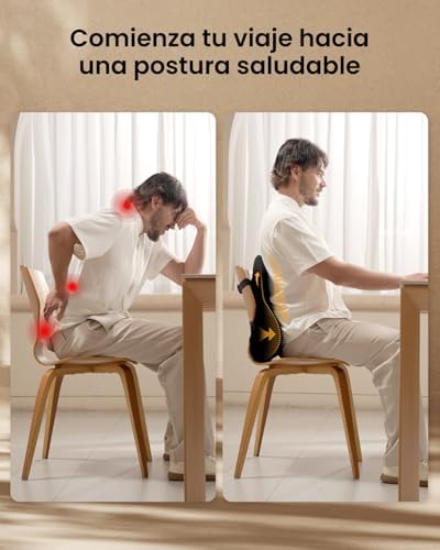 Almohada de Apoyo Lumbar para Silla de Oficina, Almohada de Espuma viscoelástica para la Espalda Baja, cojín Lumbar para Silla de Escritorio, Respaldo ergonómico para Silla - Negro