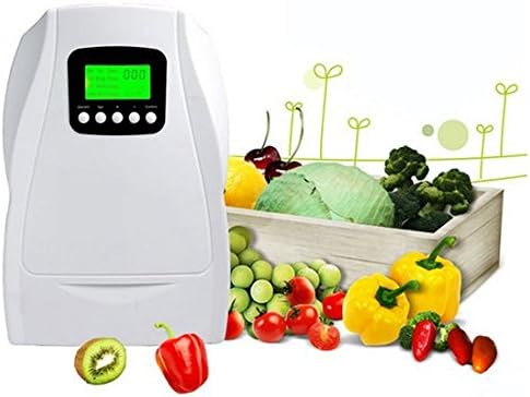 Ozone water generator Ozonator Water Purifier LCD Display 500mg/h 220V