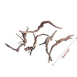 LAYs Aquarium Driftwood Wood Trunk Plant Stump for Fish Tank Ornament Landscaping (S)