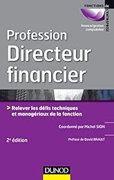 Profession directeur financier