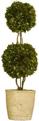 Preserved Boxwood Double Sphere Topiary, 52-Inch