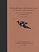 Kiva Mural Decorations at Awatovi and Kawaika-a: With a Survey of Other Wall Paintings in the Pueblo Southwest (Papers of the Peabody Museum)