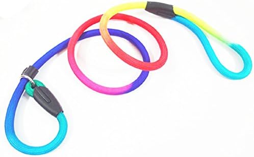 Gefry Colorful Pet Nylon Rope Dog Whisperer British Style Slip Training Leash Lead and Collar (L:Diameter 1.0cm, Muticolor)