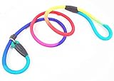 Gefry Colorful Pet Nylon Rope Dog Whisperer British Style Slip Training Leash Lead and Collar (L:Diameter 1.0cm, Muticolor)