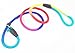 Gefry Colorful Pet Nylon Rope Dog Whisperer British Style Slip Training Leash Lead and Collar (L:Diameter 1.0cm, Muticolor)