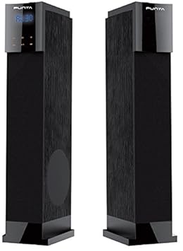 punta home theater 2.1