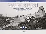 Fallen Stars 1: Crashed, Damaged & Captured Aircraft of the USAAF by