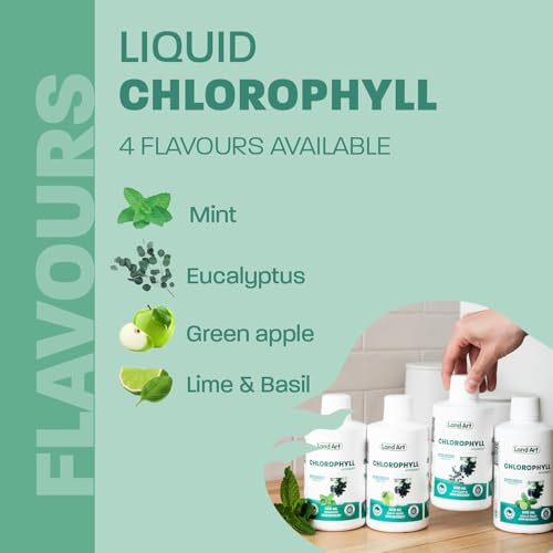 Liquid Chlorophyll Mint - Cold Extracted from Non-GMO Alfalfa - Clorofila - Detox Cleanse - Alkalization & Antioxidant Support - Vegan - Gluten Free - Made in Canada - 500 ml Bottle