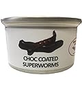 Edible Chocolate Covered Super Worms