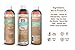 Dr. Ginger's Coconut Oil Care 2pc Bundle, All-Natural Fluoride Free Toothpaste - 4oz, and Alcohol Free Whitening Mouthwash, 14fl oz - for Fresh Breath and Ultimate Oral Care - Mint Flavor