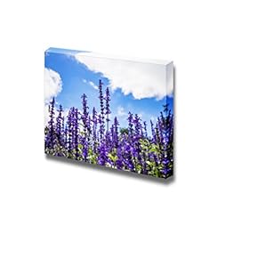 Canvas Prints Wall Art - Beautiful View Lavender Flower Under Blue Sky | Modern Wall Decor/Home Decoration Stretched Gallery Canvas Wrap Giclee Print & Ready to Hang - 12" x 18"