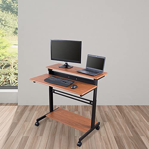 Stand Up Desk Store Rolling Adjustable Height Two Tier Standing Desk