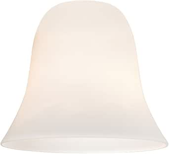 Clear & Frosted Glass Light Shade Ceiling Fan Chan... - Grandado