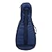 Phitz Mandolin Case, Navy - PH70051MFL