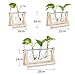 Takefuns Glass Planter Bulb Vase Desktop Hanging Glass Libra Water Planting Glass Vase Hydroponics Plants Office Desk Wedding Decor with Retro Wooden Stand (3 Bulb Vase)thumb 4