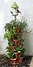 Natures Distributing 3 Tier Stacking Planter-Flower, Herb, Stackable Garden, Vegetable-Self-Watering-Indoor/Outdoor (Terracotta)