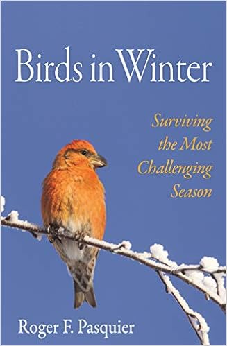 Buy Birds In Winter Surviving The Most Challenging Season Book Online At Low Prices In India Birds In Winter Surviving The Most Challenging Season Reviews Ratings Amazon In