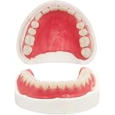Fake Teeth-Do It Yourself Denture-Top and Bottom Temporary Teeth, Easy and Convenient, Common to All situations