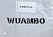 WUAMBO Men's Mesh Long Johns Slim Sexy Legging Tights Black XL (Waist:32