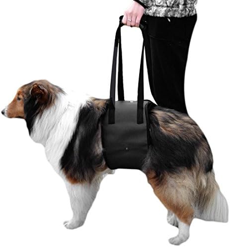 Dog Lift Support Harness with handle for canine aid - Lifting Older K9 pets. Injuries, Arthritis or Weak hind rear legs &amp; Joints. Medium, Large, Nylon breed Assist Sling for mobility &amp; Rehabilitation