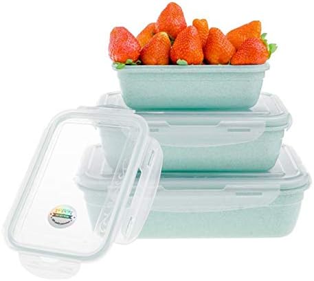 Numyton Vorratsdosen Set für Lebensmittel, großer Satz von 3 Stück