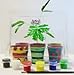 TickleMe Plant Deluxe Greenhouse Kit with 6 Color Paint Set for Kids with 10 Fun Activities. Grow The House Plant That Closes its Leaves