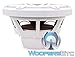 MX10IB3-SG-WH - JL Audio 10