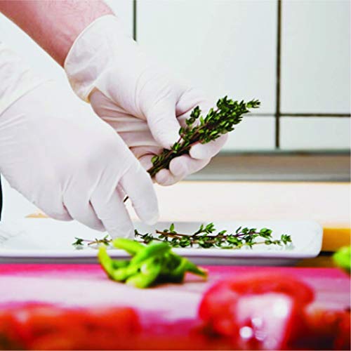 Monogram Latex Disposable Cleaning Gloves Powder-Free (Box of 100 - Main Image