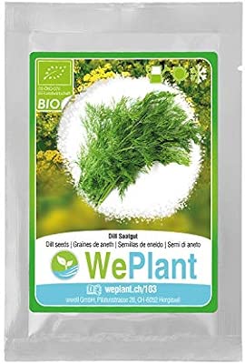 BIO/ORGANICO Eneldo - Semillas ecológicas de plantas naturales ...