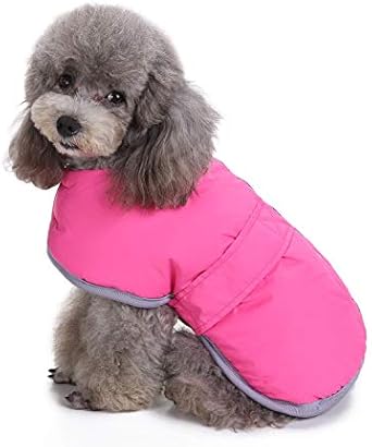amazon uk dog coats