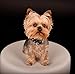 2020 Yorkshire Terrier Puppies Calendar 16 Month 12 x 12 Wall Calendar by Bright Day Calendars (Yorkshire Terrier Puppies 2019)