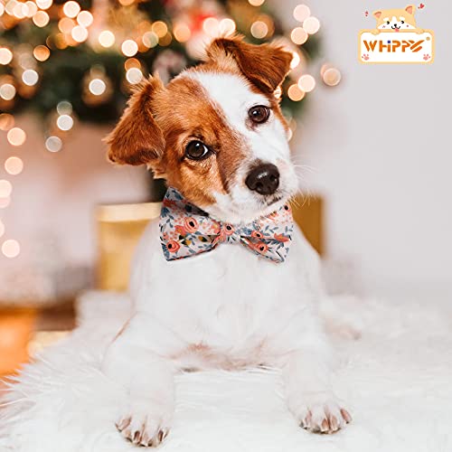 WHIPPY Soft Bow Tie Dog Collar Adjustable Cute Bowtie Dog Collars with Metal Buckle for Small Medium Large Dog Girls Boys, Orange, S