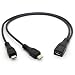 Micro USB Cable, Micro USB Female to 2 Micro USB Male Splitter Cord Charge Cable for Galaxy S5 i9600 S4 I9500 Note2 N7100 S3 I9300 S2 9100(1 Female to 2 Male Straight) primary