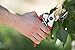 GARDEN V PRO Professional Titanium Pruning Shears Top Bypass Clippers, Secateurs, Tree Trimmer- Ergonomic Gardening Hand Tool, Effortless Branch Cutting, Safety Lock + Razor Sharp Blade & Springthumb 4