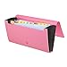 COMIX Personal Check/ Coupon size 13-Pocket Portable Expanding File Organizer Pocket - Red (F4303RD)