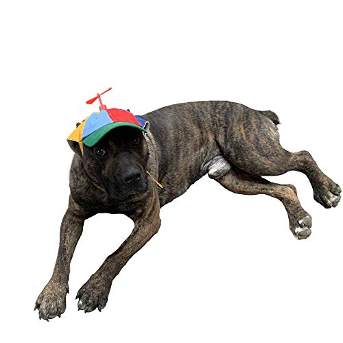 GEANBAYE Dog Hats with Funny Propeller, Size and Rope Double