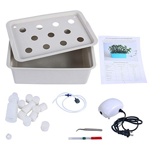 Homend Indoor Hydroponic Grow Kit with Bubble Stone, 11 Sites (Holes