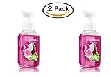 Bath&body Works Gentle Foaming Hand Soap 8.75oz Caribbean Escape Pack of 2