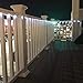 LE LED Rope Lights with Remote, Battery Powered, Dimmable, Waterproof, 33 ft 120 LED, Daylight White, Indoor Outdoor Light Ropes and Strings for Deck, Patio, Bedroom, Boat, Camping Lighting and More