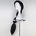 Princess Wig for Adult Long Straight Black Fluffy Halloween Cosplay Costume Wig