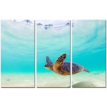 Yin Art 3-Panel Modern Green Seascape Canvas Print Wall Art Set - Sea Turtle Swimming Underwater Through the Bright Blue Ocean - Triptych 12x24 Inch - Stretched and Framed Home Decor Ready to Hang