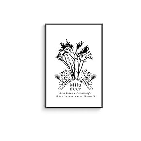Framed Canvas Wall Art for Living Room, Bedroom Black Deer Canvas Prints for Home Decoration Ready to Hanging - 16x24 inches